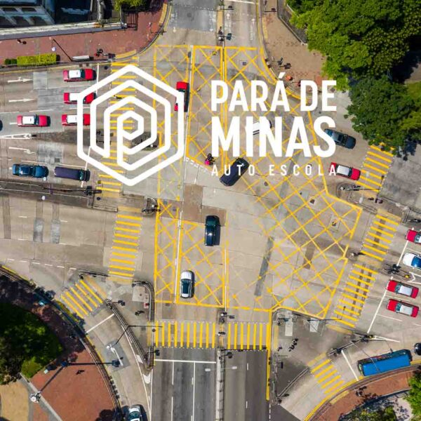 Legislação (Curso 45h/Aulas) - Imagem 2